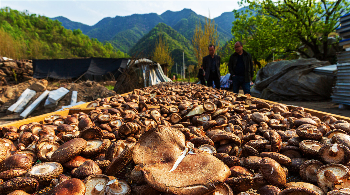 《結對幫扶，碩果累累》高波