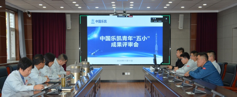 激揚(yáng)青春智造力！中國樂凱團(tuán)委召開青年&ldquo;五小&rdquo;成果評審會(huì)